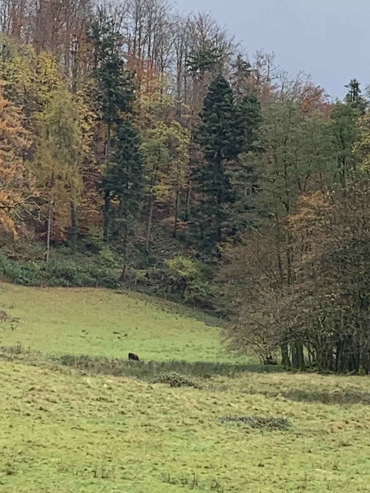 Вид на Водопад Герольдсау в Баден-Бадене