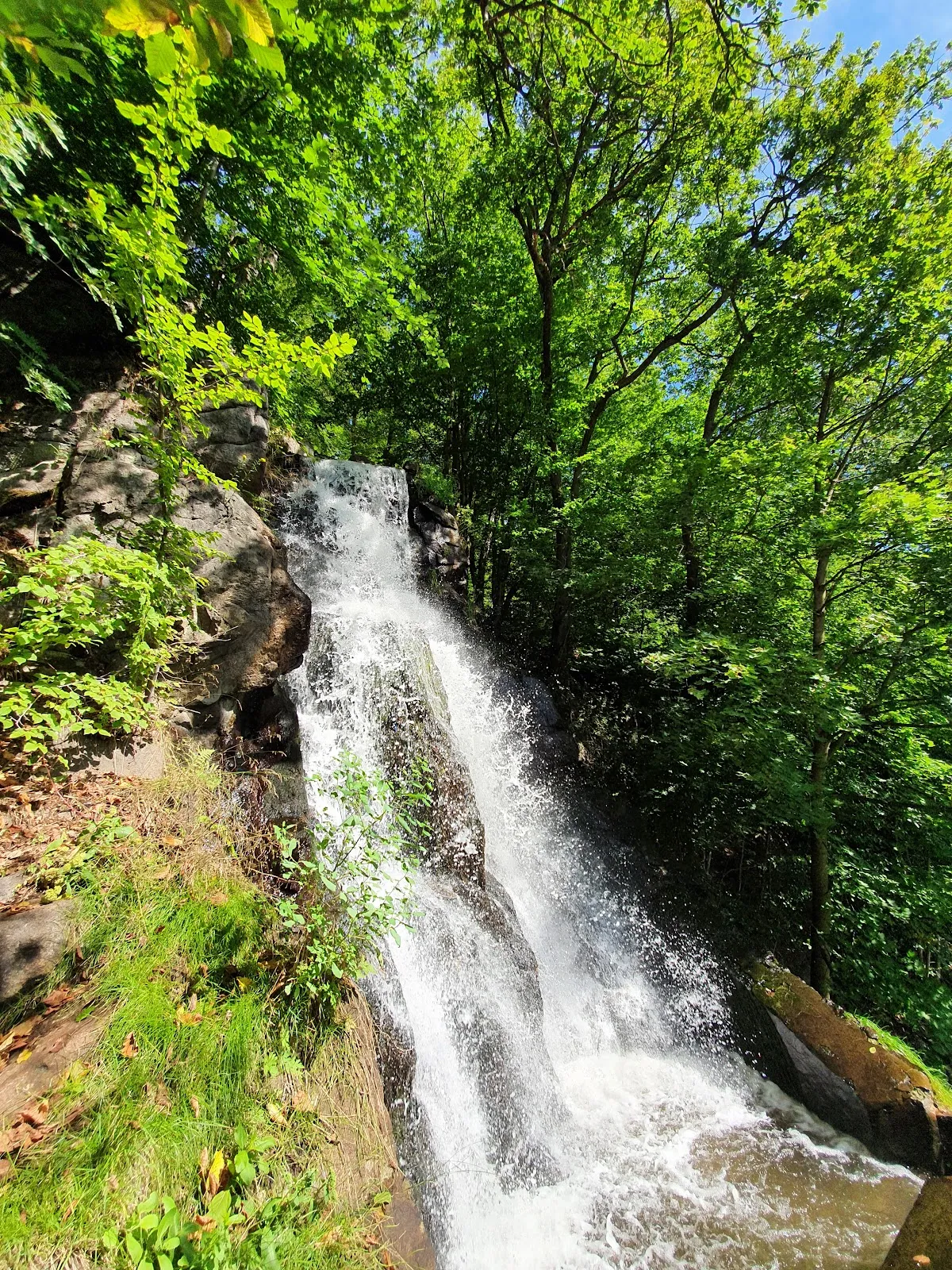Вид на водопад Гютерштайнер в окружении зелени