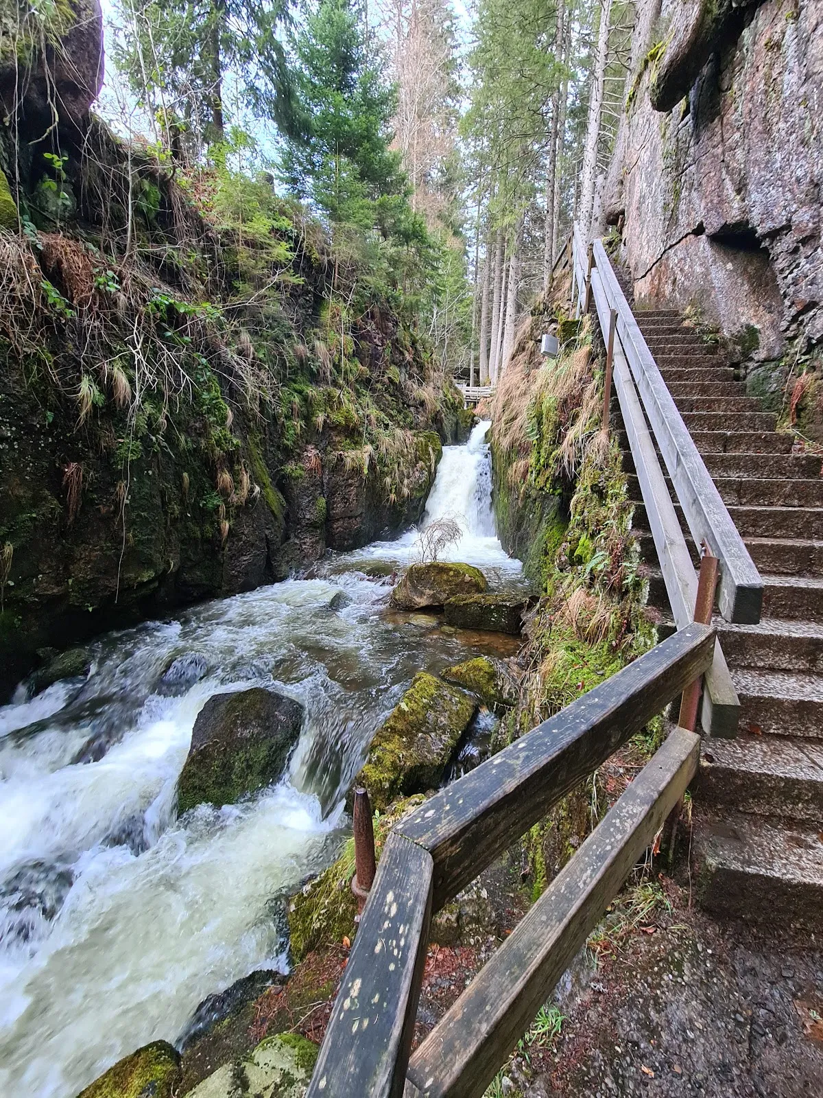 Водопад Менценшвандер в лесу