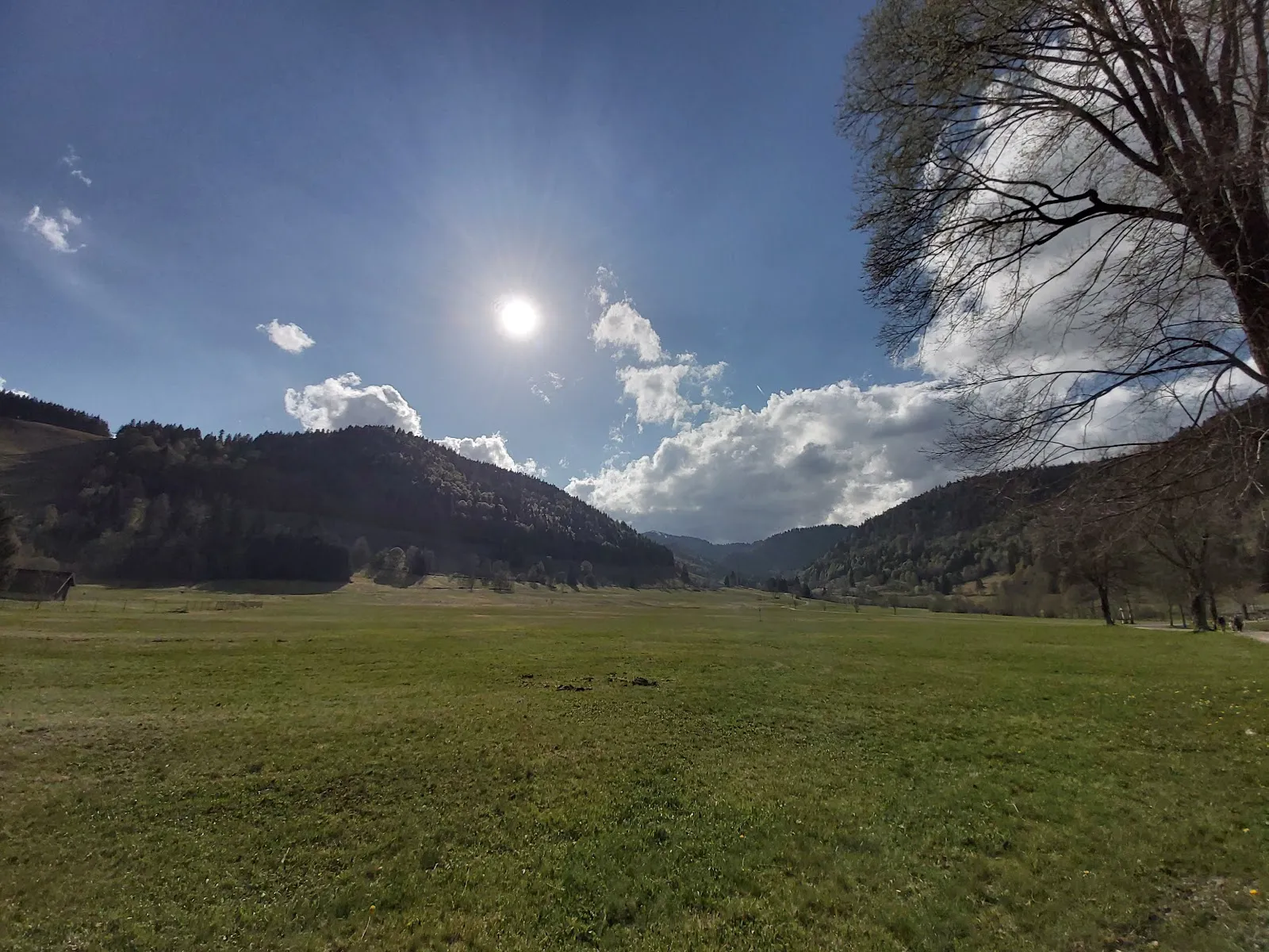 Водопад Менценшвандер в лесу