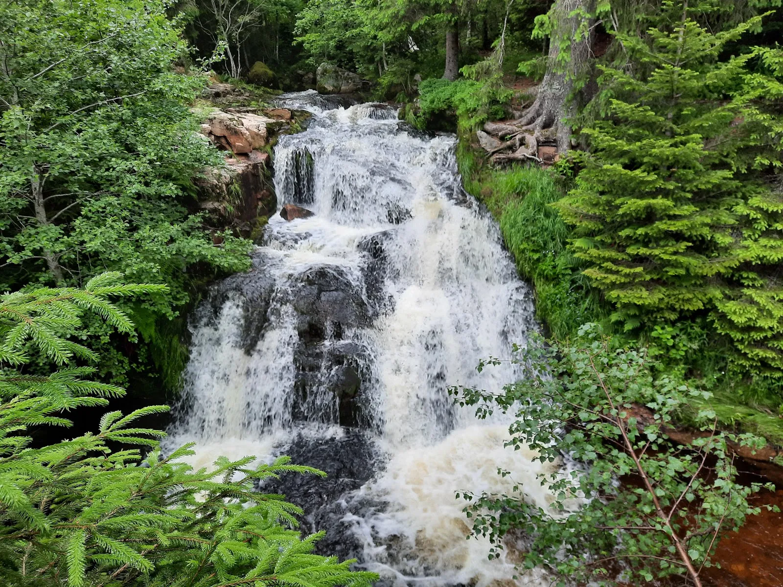 Водопад Менценшвандер в лесу