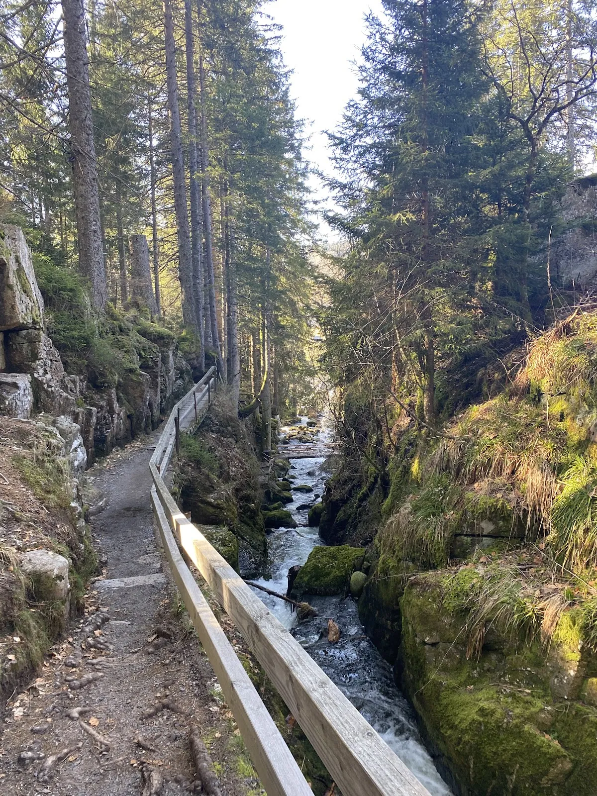 Водопад Менценшвандер в лесу