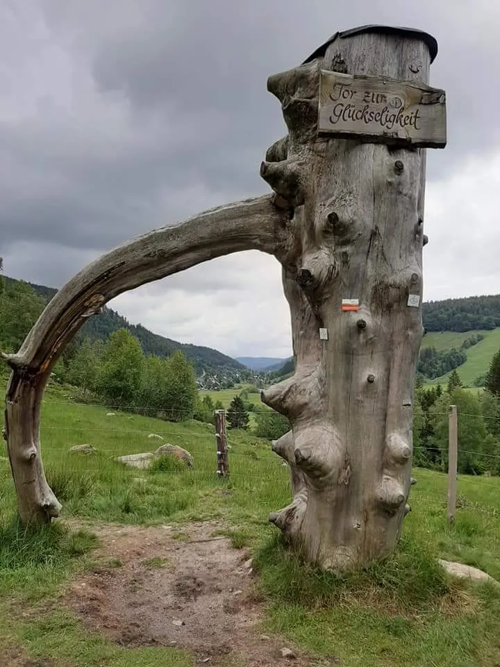 Водопад Менценшвандер в лесу