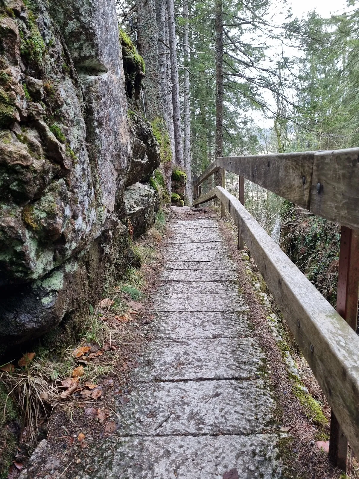 Водопад Менценшвандер в лесу