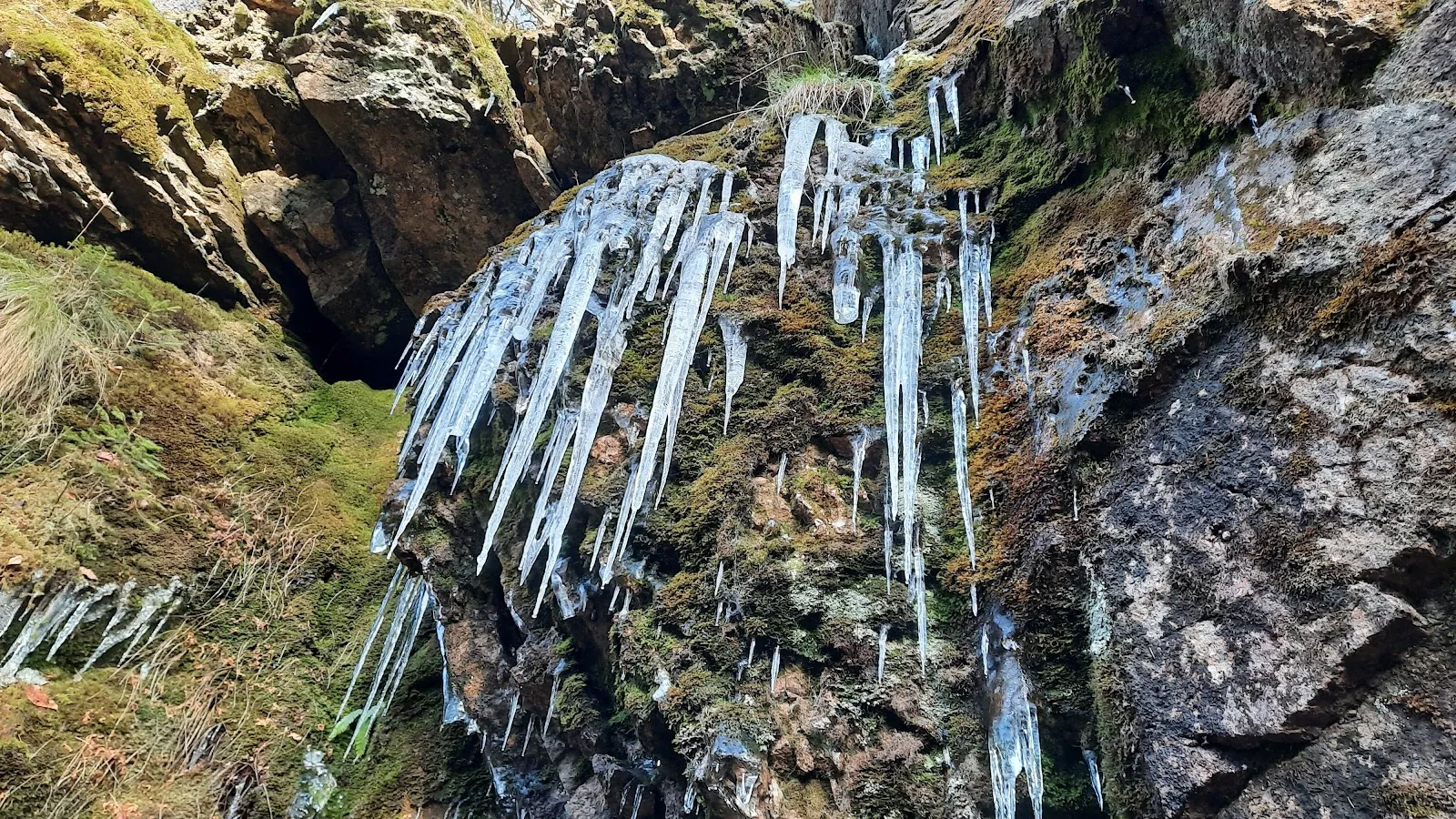 Водопад Менценшвандер в лесу