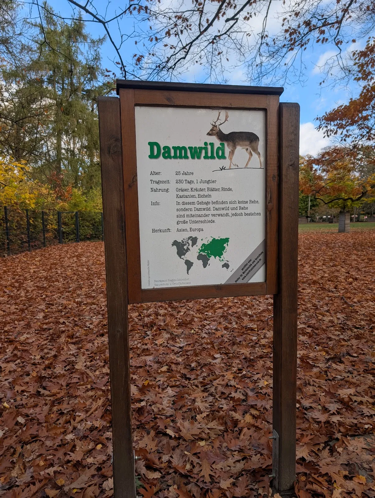 Вольер с даниэлями и муфлонами в парке дикой природы в Берлине