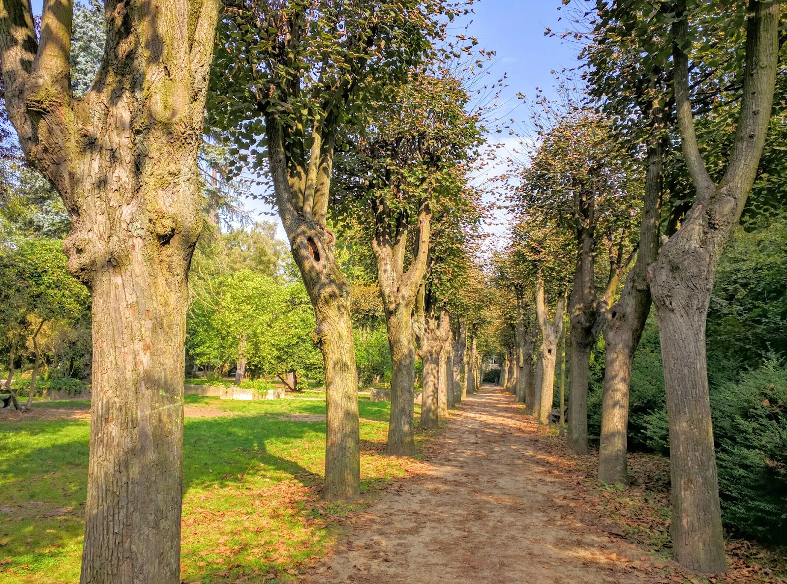 Волерс Парк