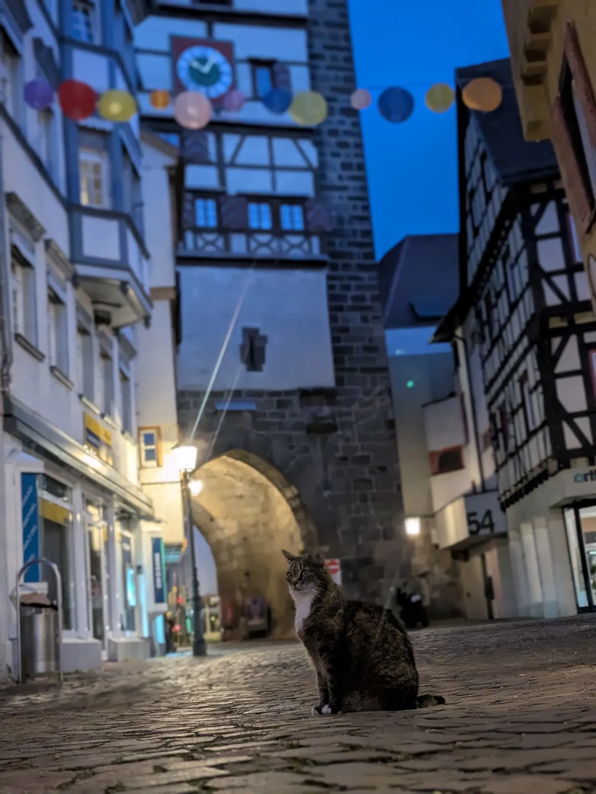 Старинные каменные городские ворота Вольфстор в Эсслингене