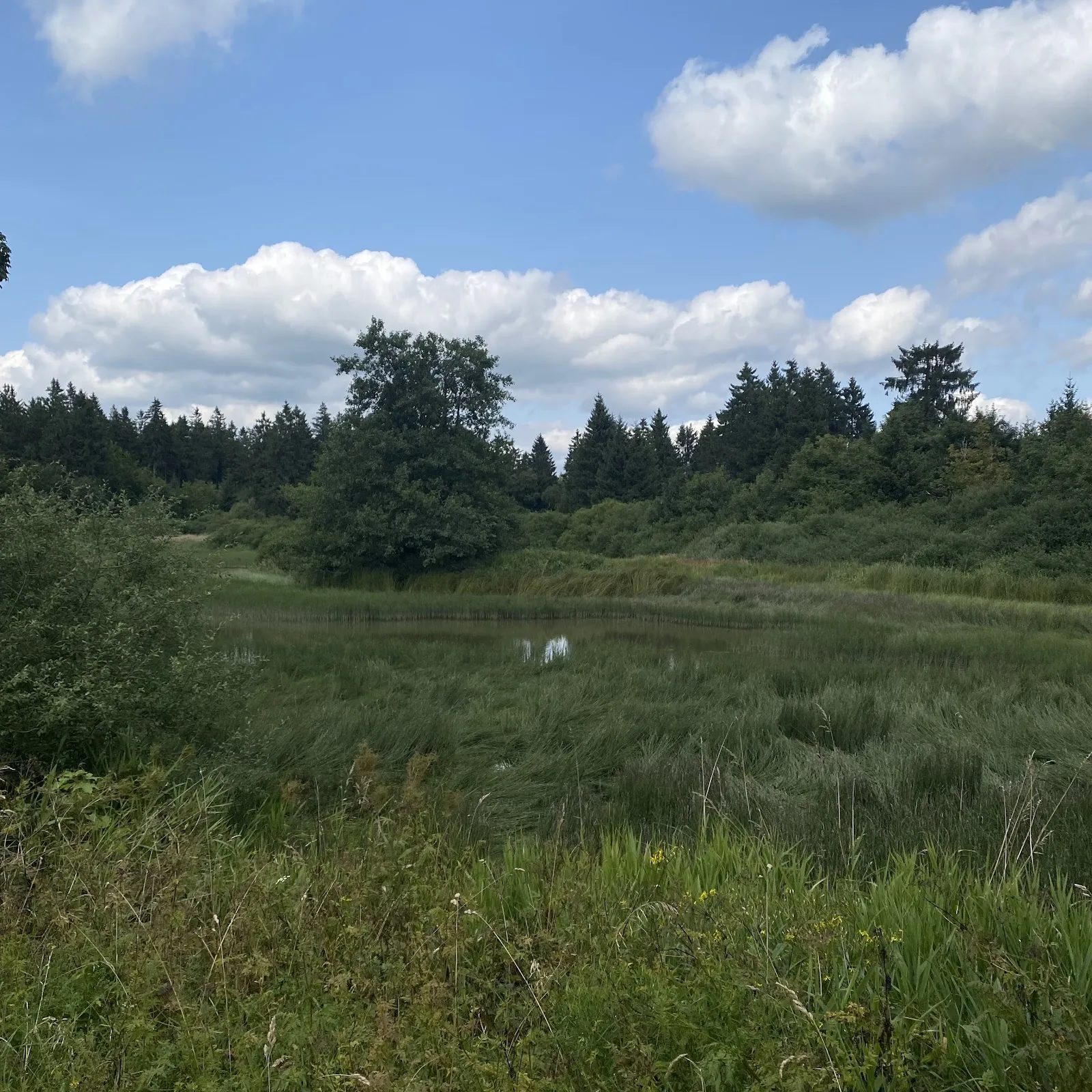 Вид на гору Хохеродскопф в солнечный день