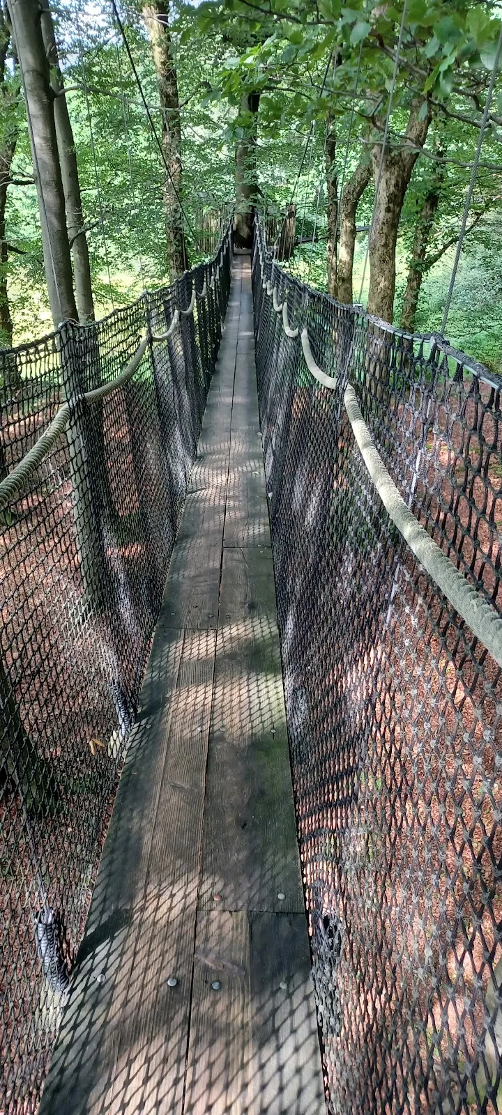 Вид на гору Хохеродскопф в солнечный день
