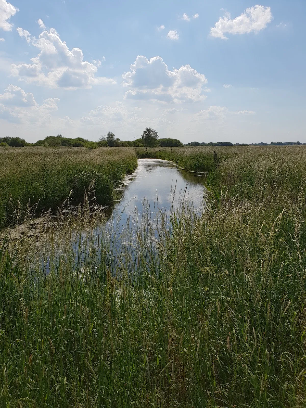 Ёкопфад Вердерланд