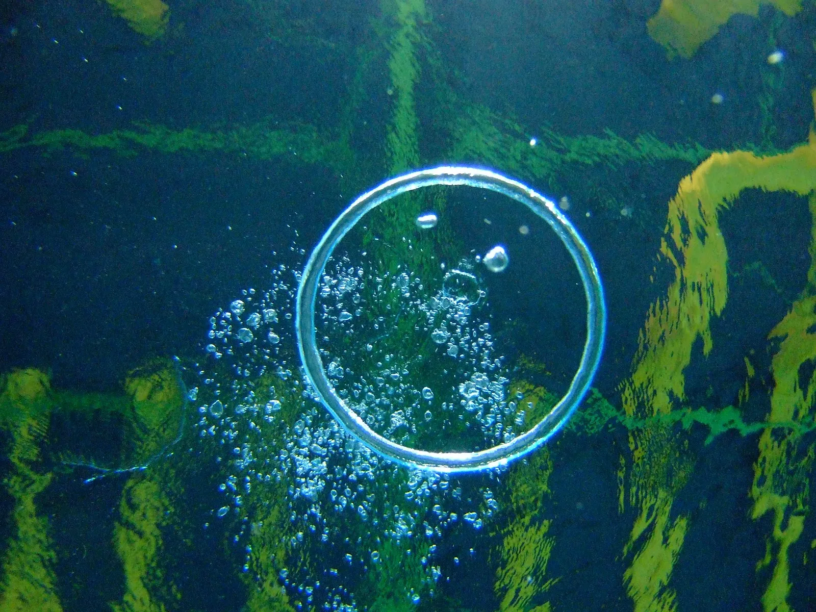 Интерьер и экстерьер Юнибад Бремен.