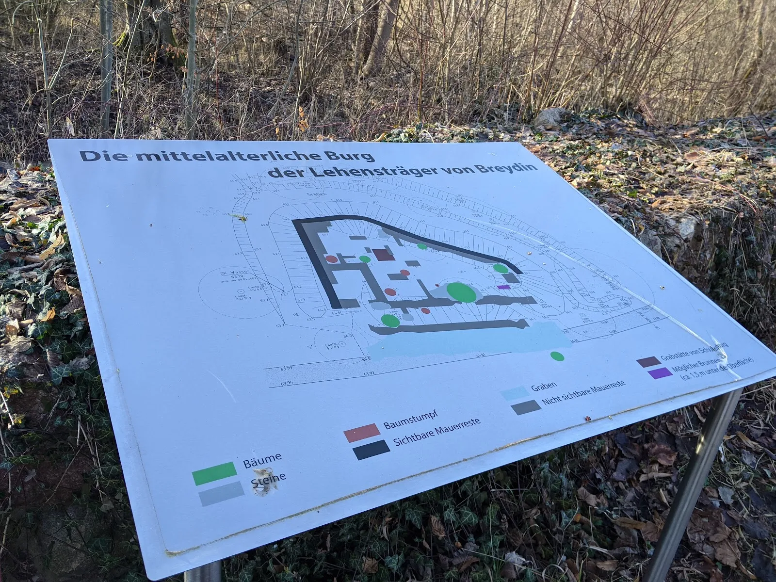 Вид на Замок Бройдин, исторический памятник архитектуры