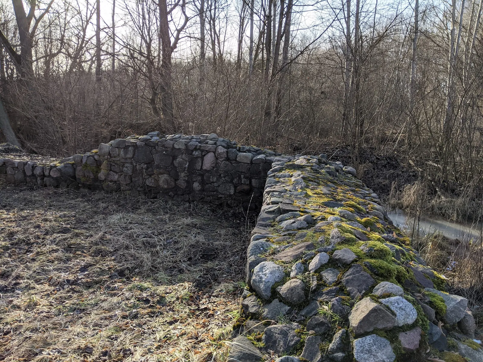 Вид на Замок Бройдин, исторический памятник архитектуры