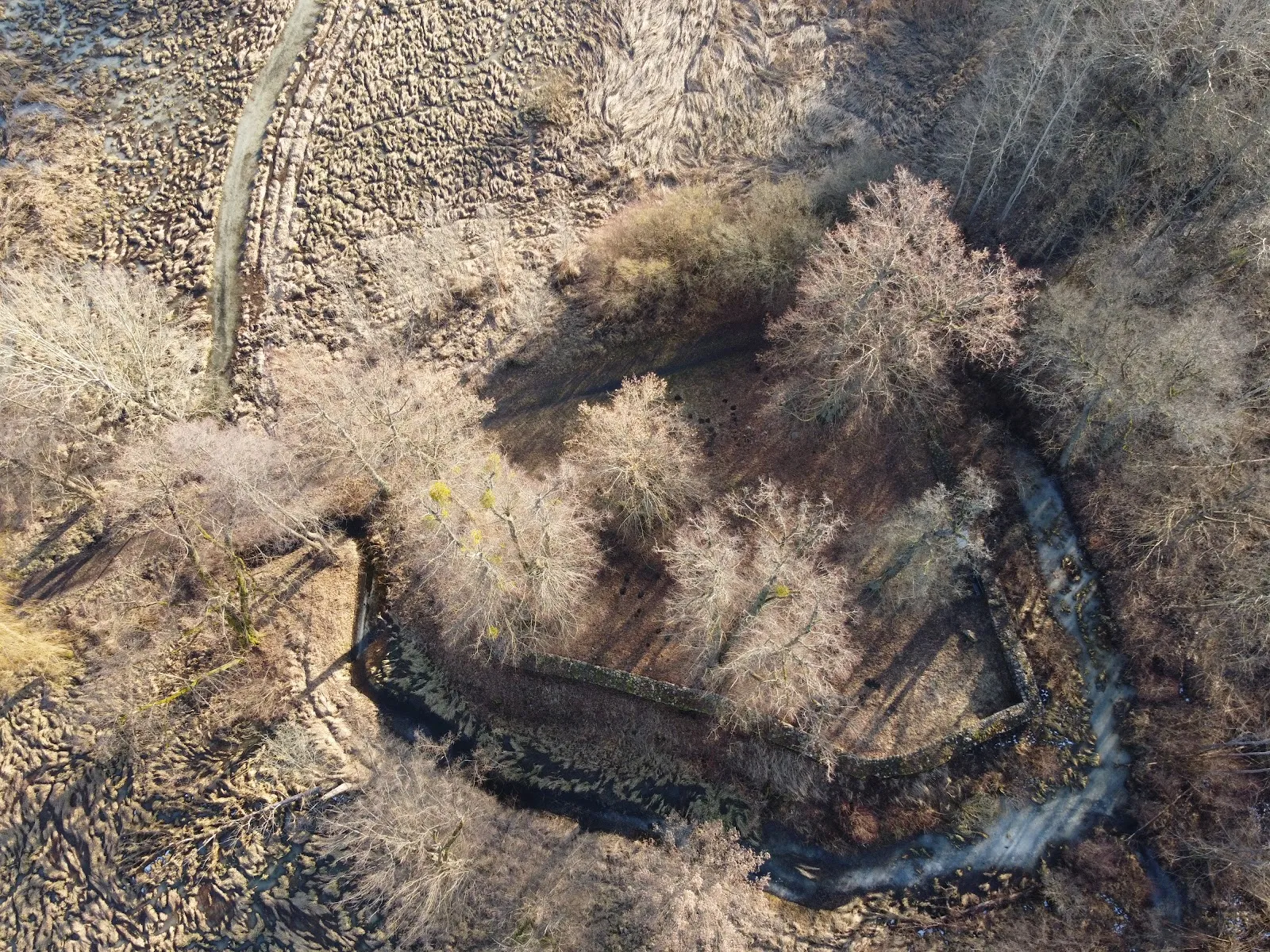 Вид на Замок Бройдин, исторический памятник архитектуры