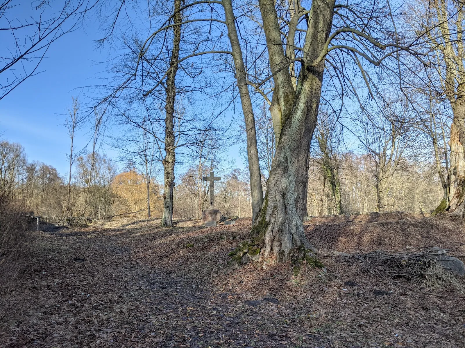 Вид на Замок Бройдин, исторический памятник архитектуры