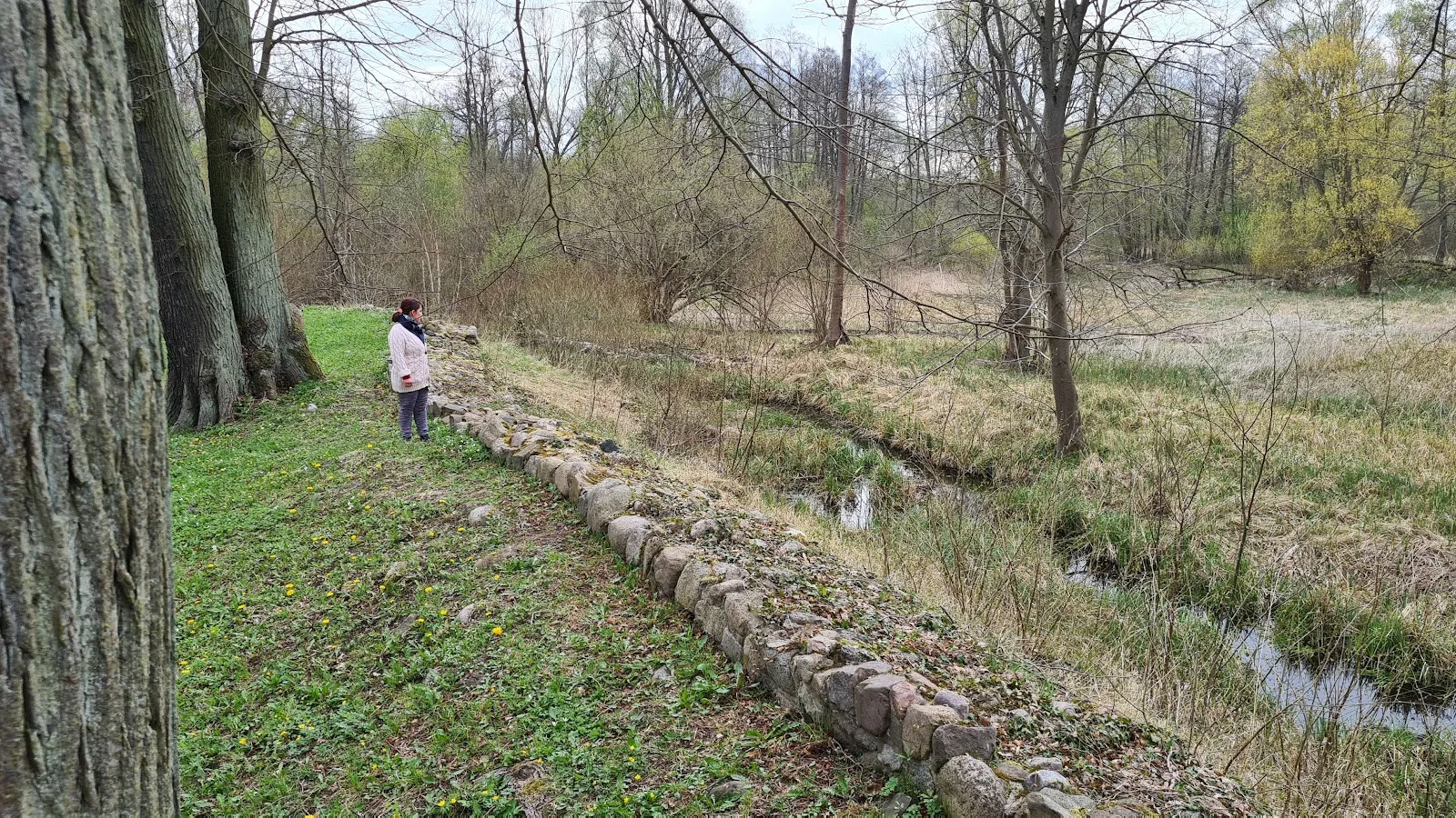 Вид на Замок Бройдин, исторический памятник архитектуры
