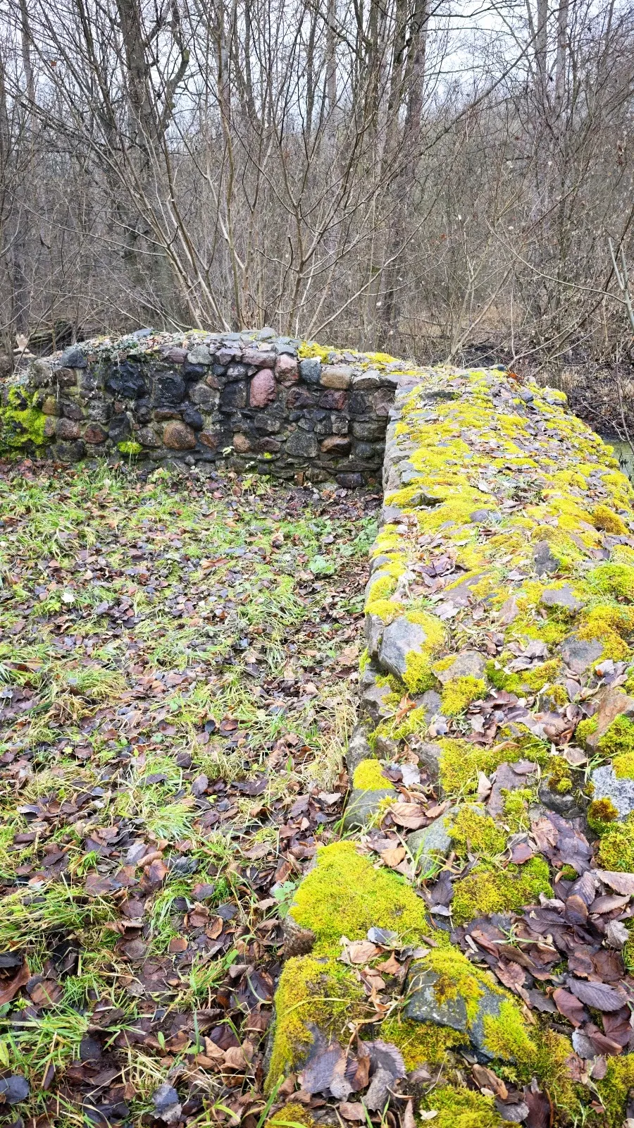 Вид на Замок Бройдин, исторический памятник архитектуры