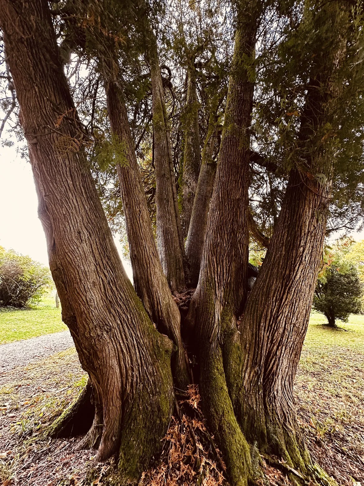 Замок Цинненберг, историческое здание в Баварии