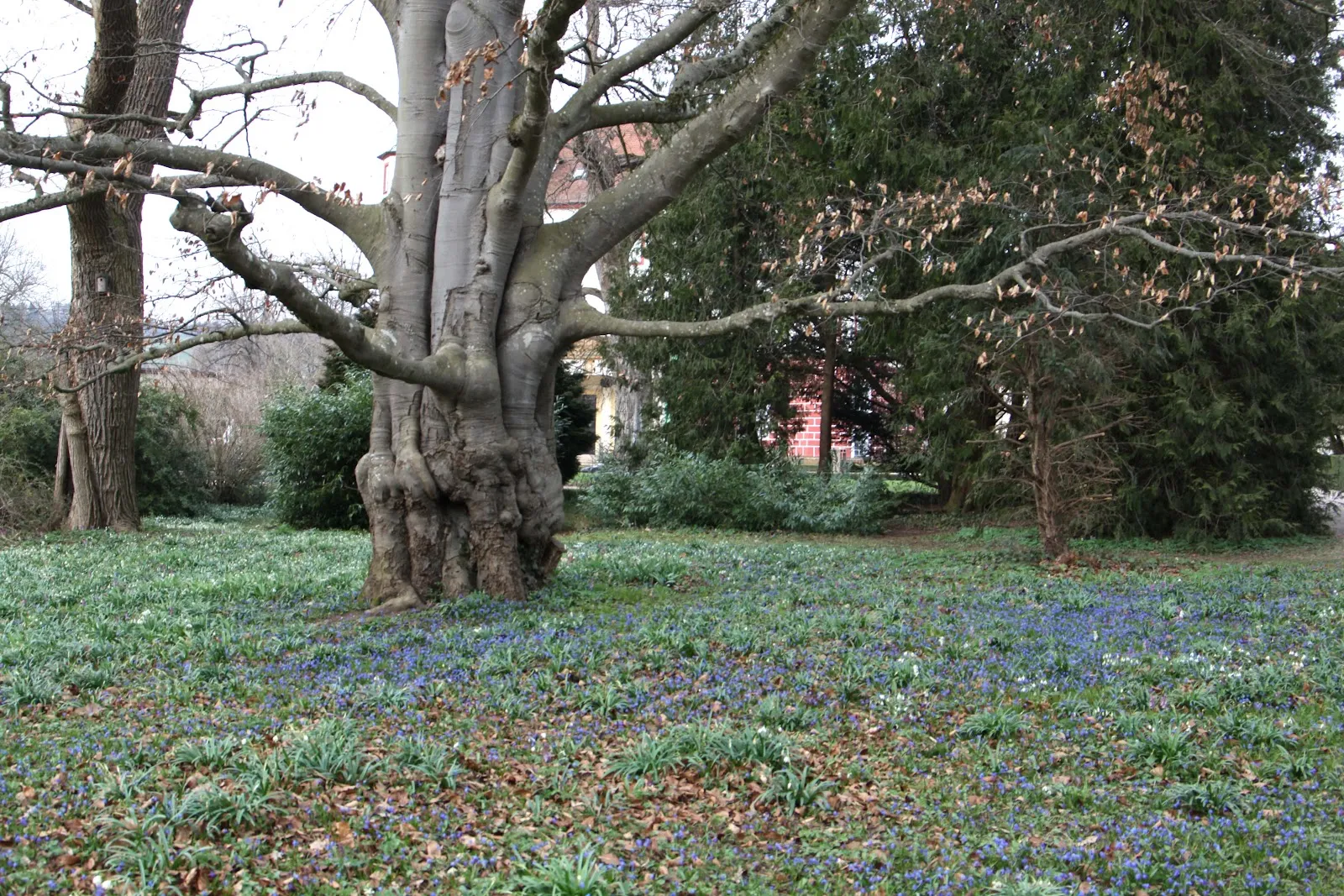 Вид на Замок Донцдорф, Германия