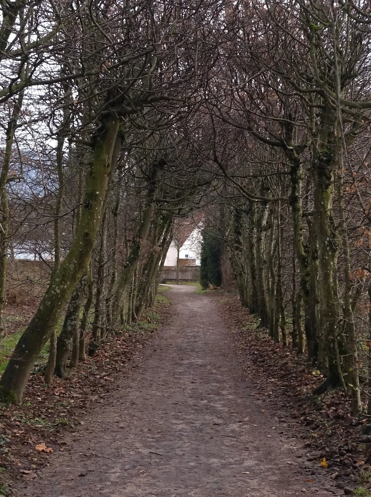 Вид на Замок Донцдорф, Германия
