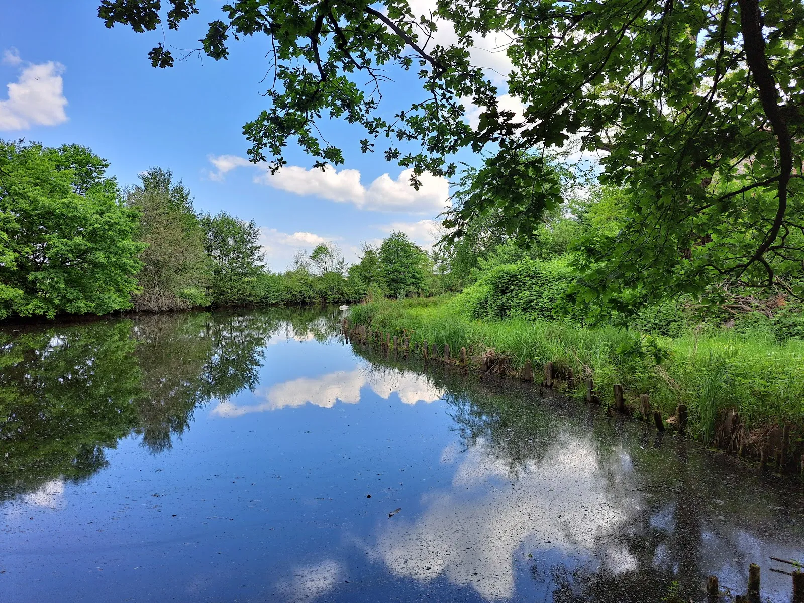 Вид на замок Дорфельден
