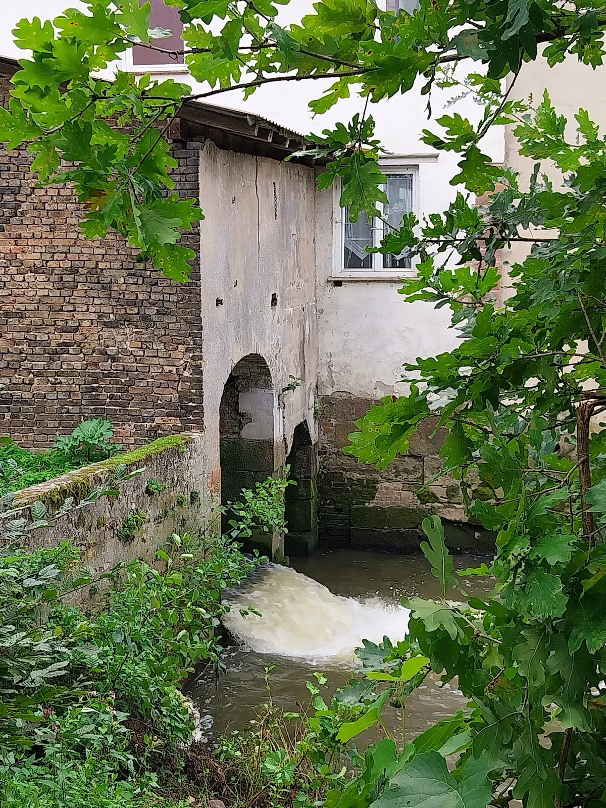 Вид на замок Дорфельден