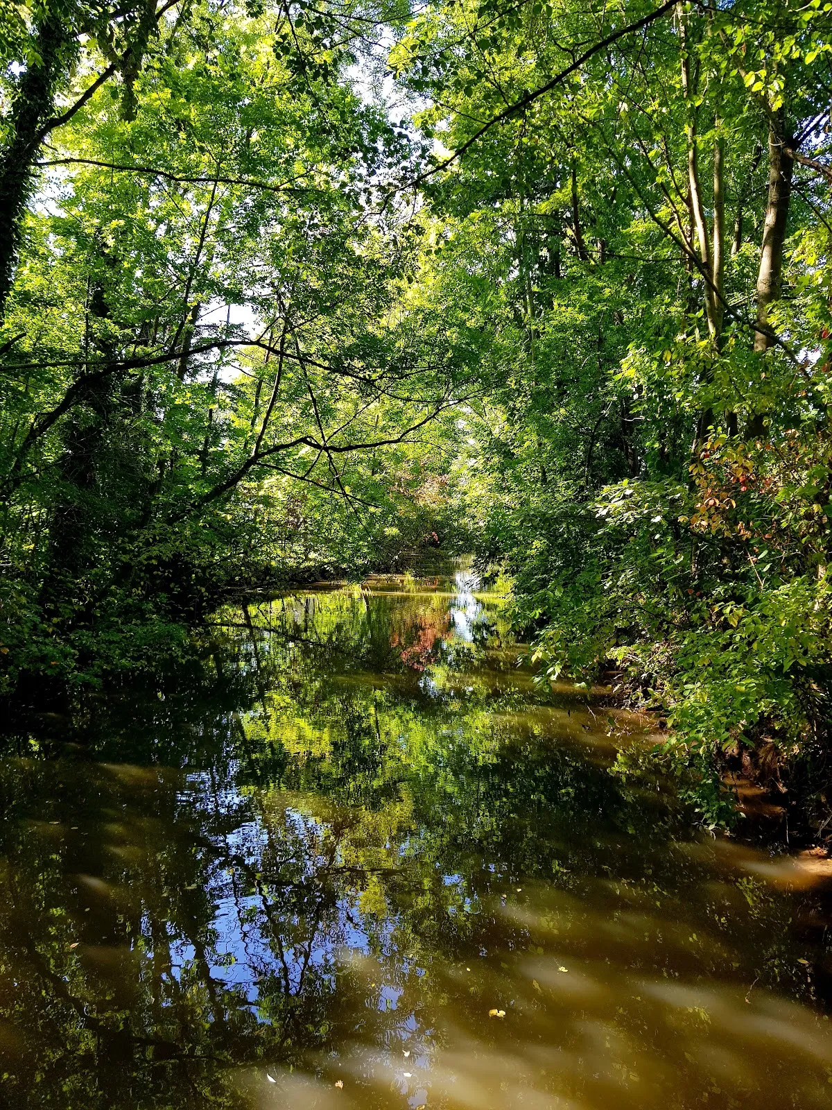 Вид на замок Дорфельден