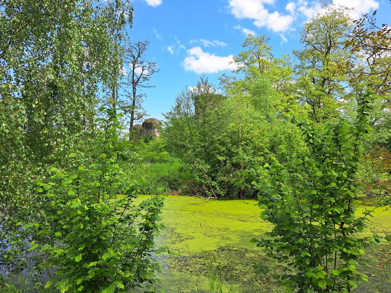 Вид на замок Дорфельден