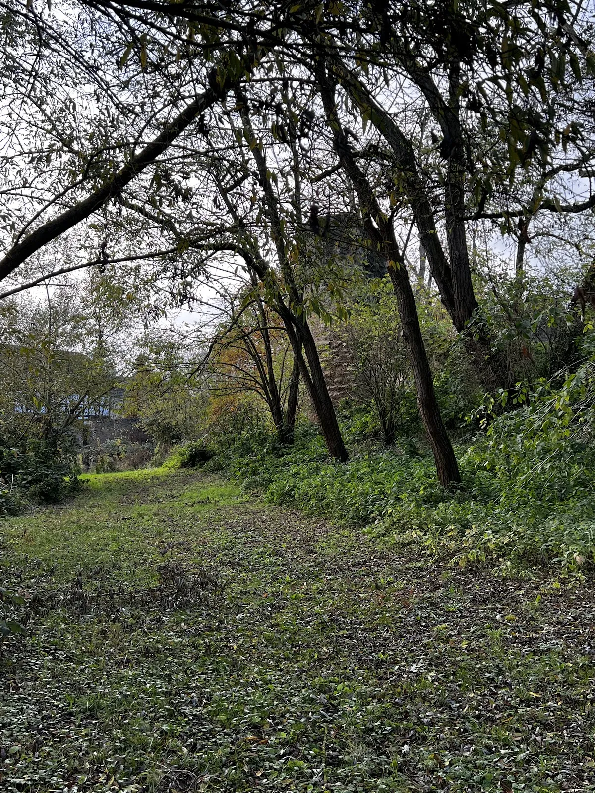 Вид на замок Дорфельден