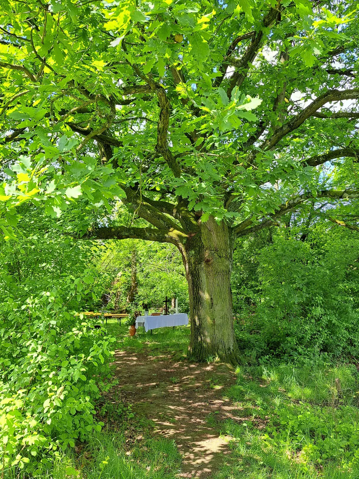 Вид на замок Дорфельден