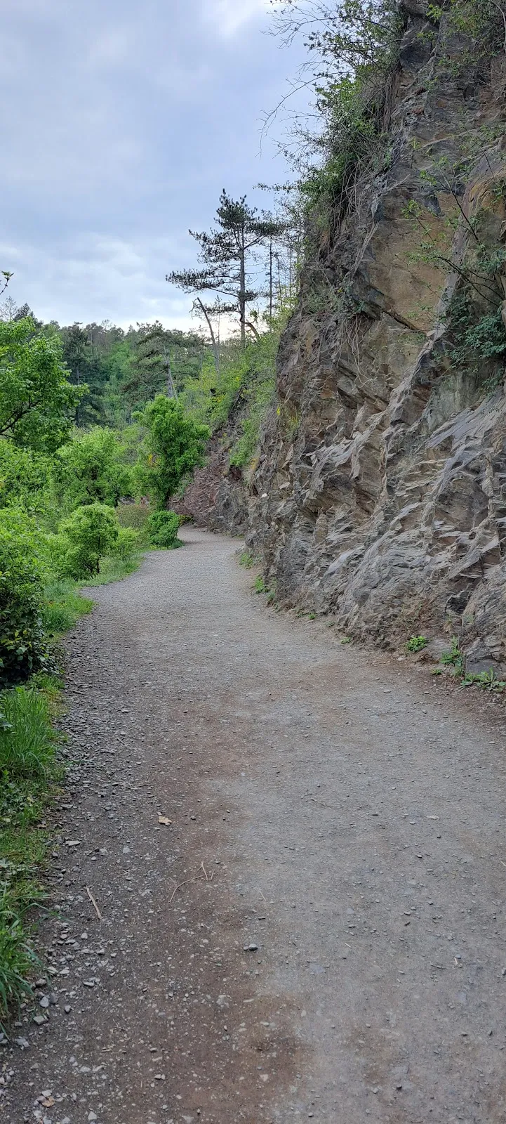 Замок Эльц, Германия