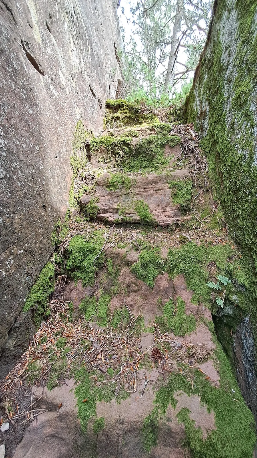 Замок Фалькенбург