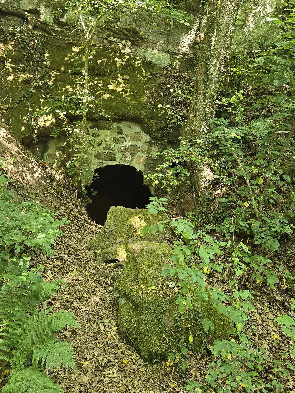 Замок Фалькенбург