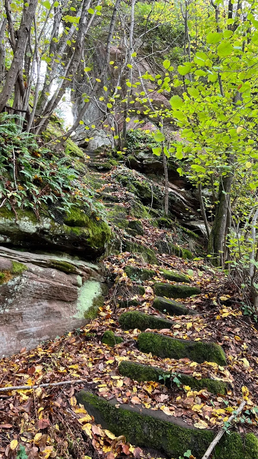 Замок Фалькенбург