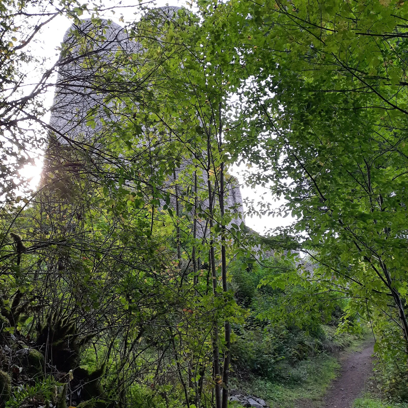 Вид на Замок Фрауэнбург с окружающей местностью