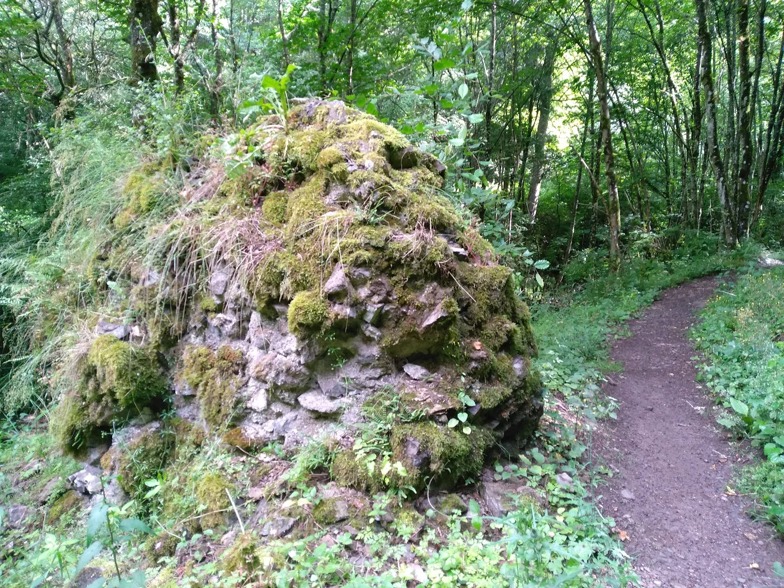 Вид на Замок Фрауэнбург с окружающей местностью