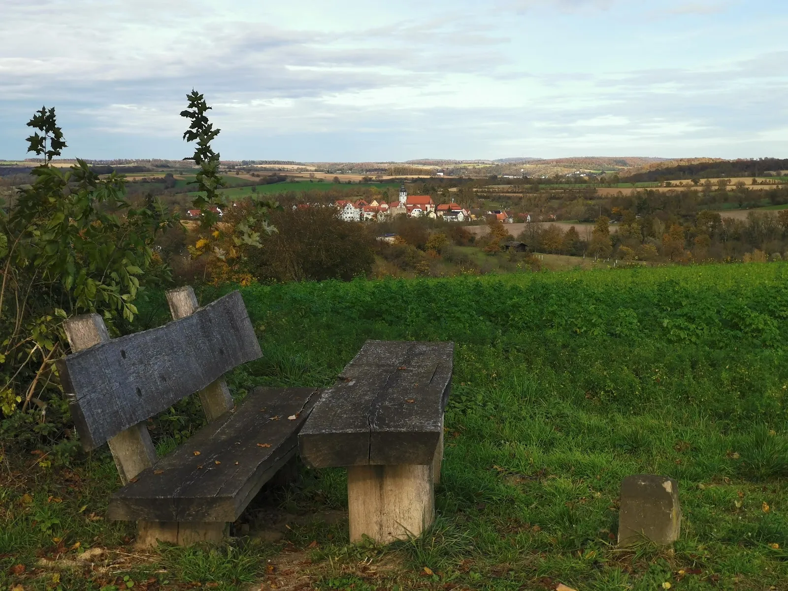 Вид на Замок Гохсхайм