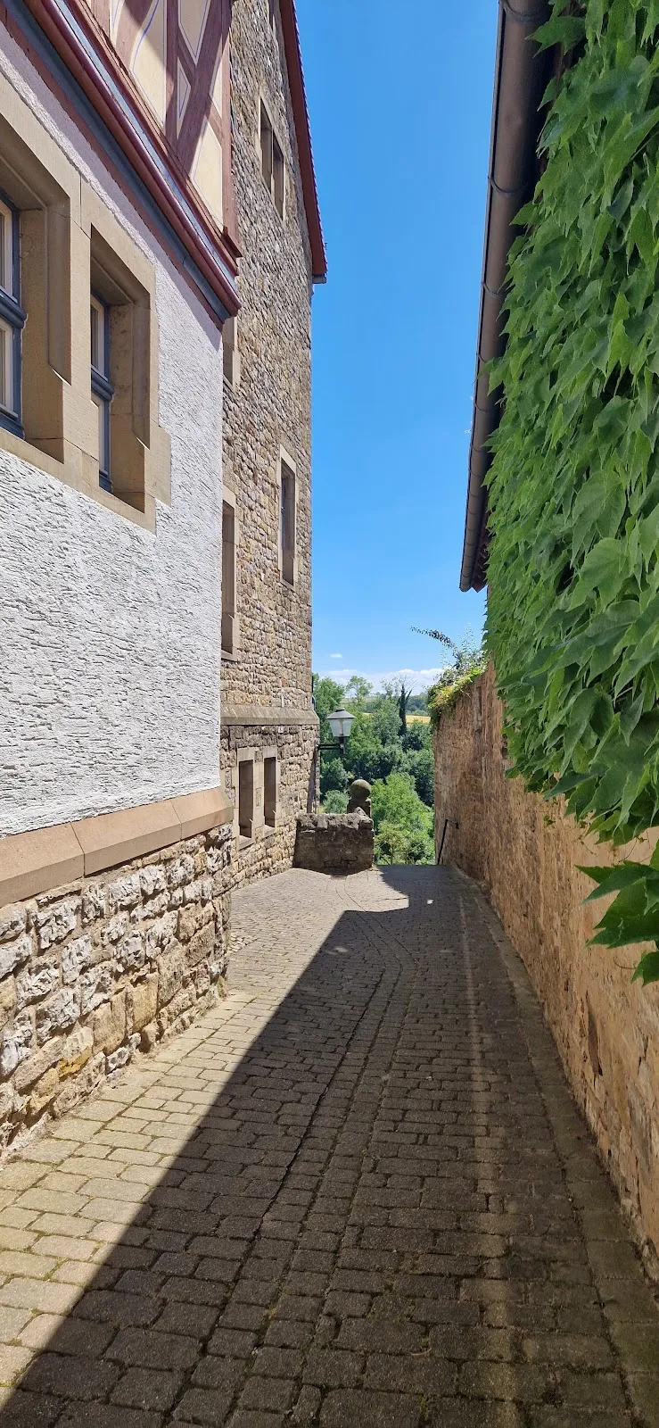 Вид на Замок Гохсхайм