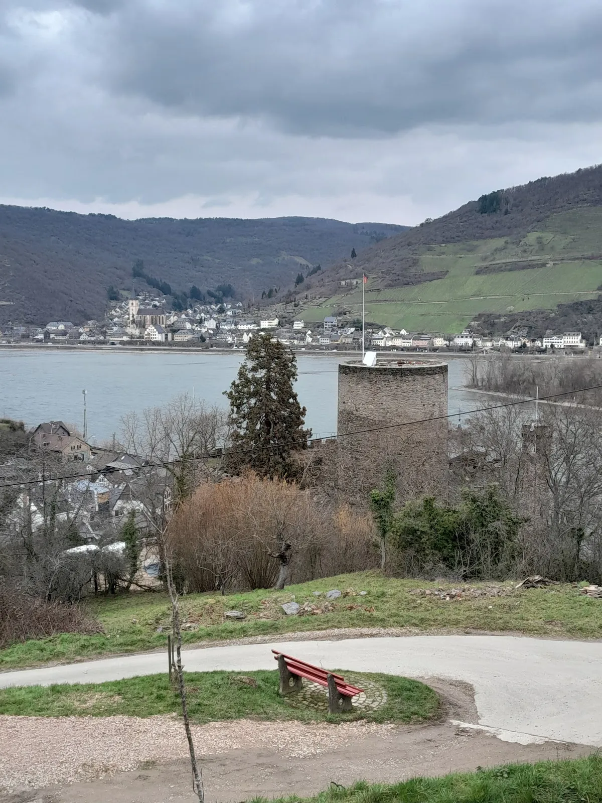 Вид на замок Хаймбург на берегу Рейна