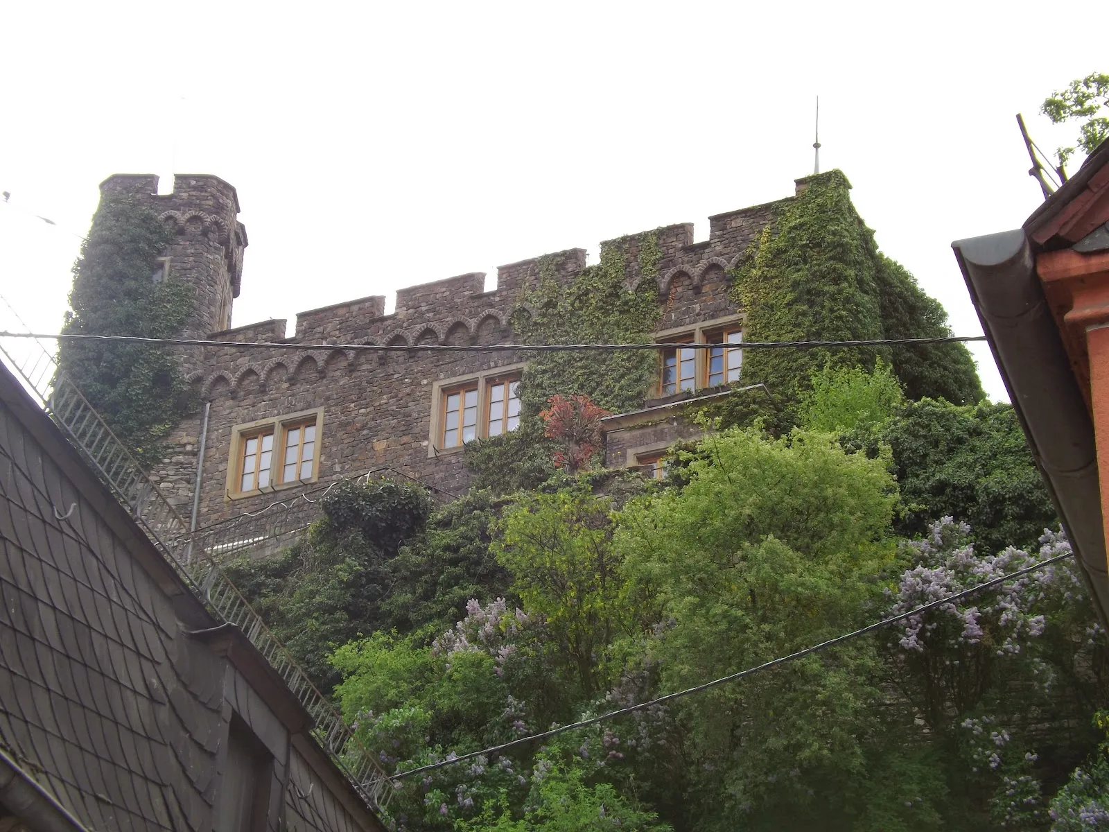 Вид на замок Хаймбург на берегу Рейна