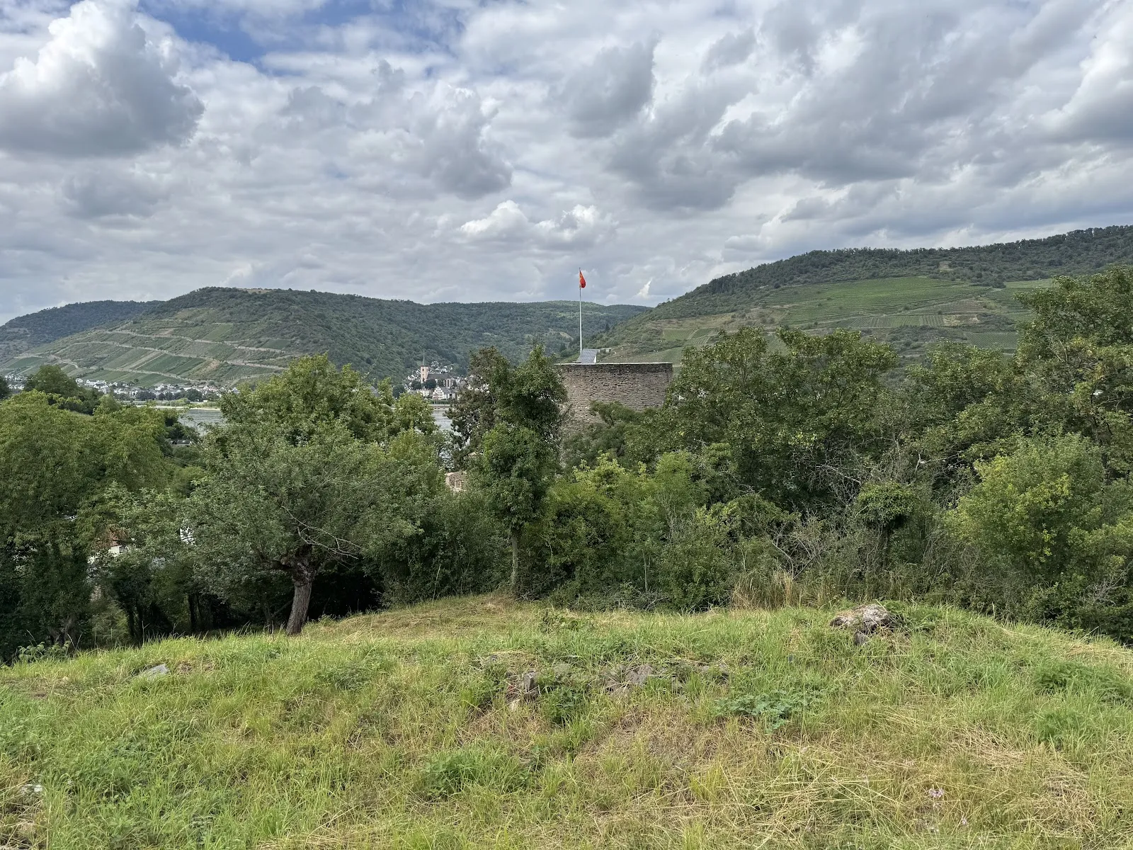 Вид на замок Хаймбург на берегу Рейна