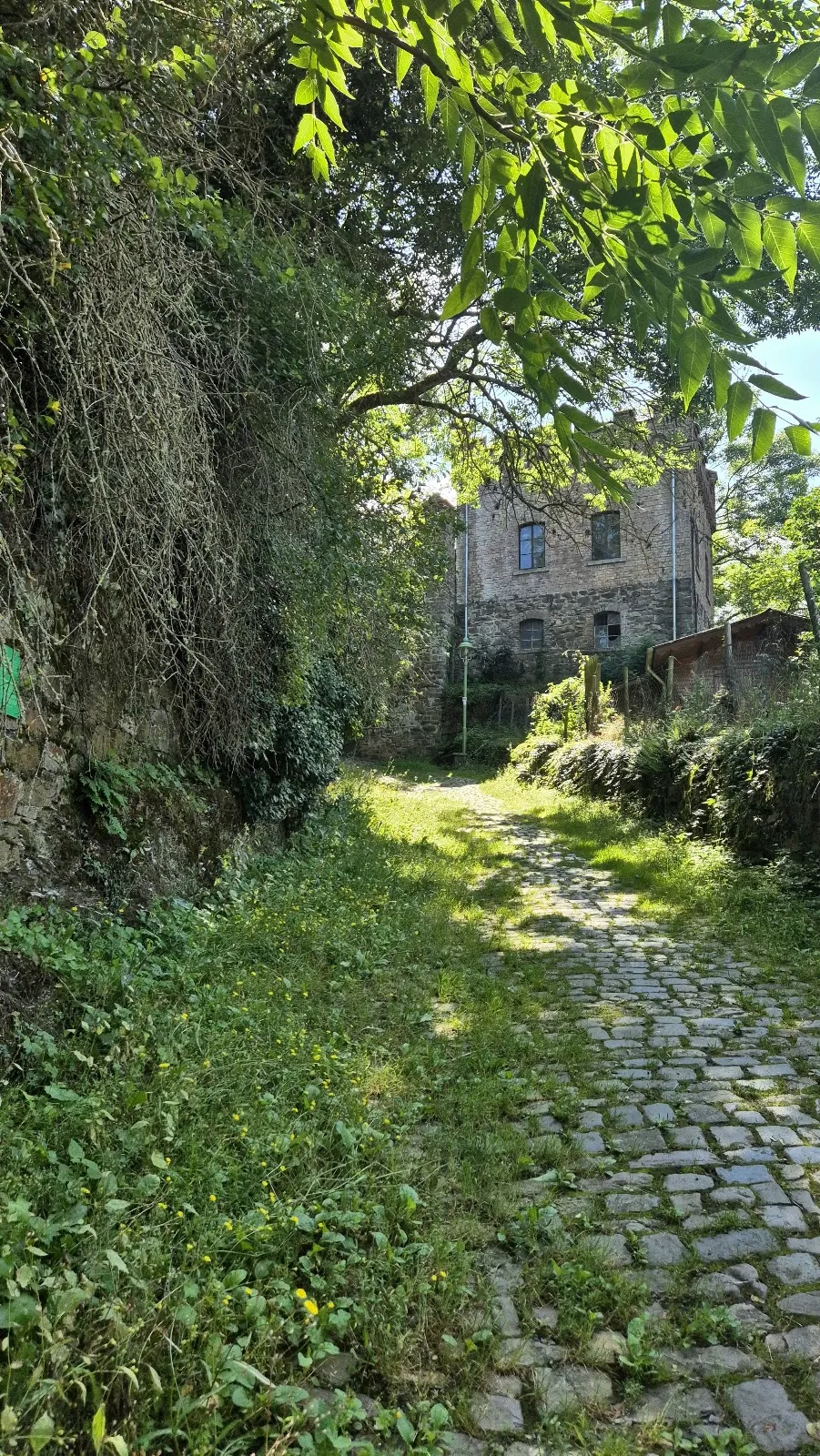 Вид на замок Хаймбург на берегу Рейна