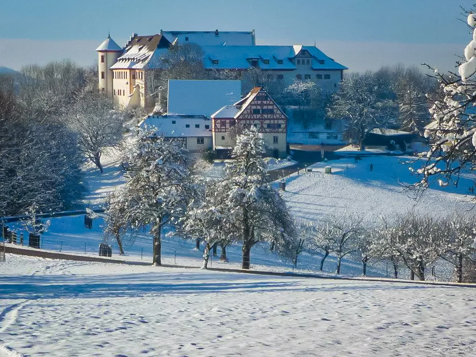 Вид на замок Хоэнфельс, Германия