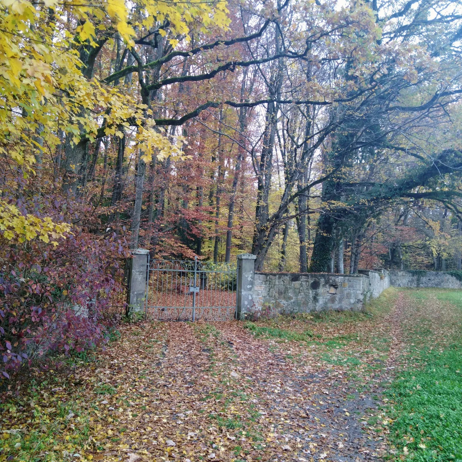 Замок Катариненхоф в Бакнанге, Германия