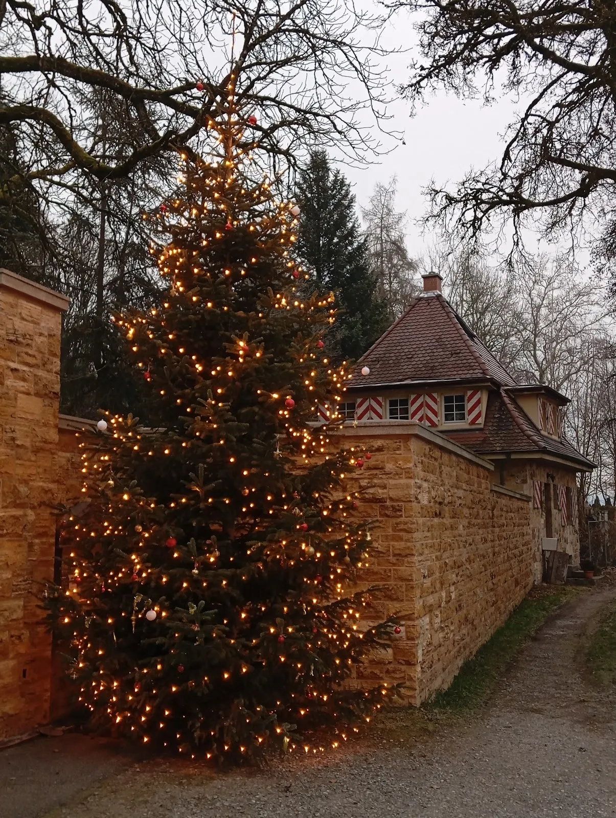 Замок Катариненхоф в Бакнанге, Германия