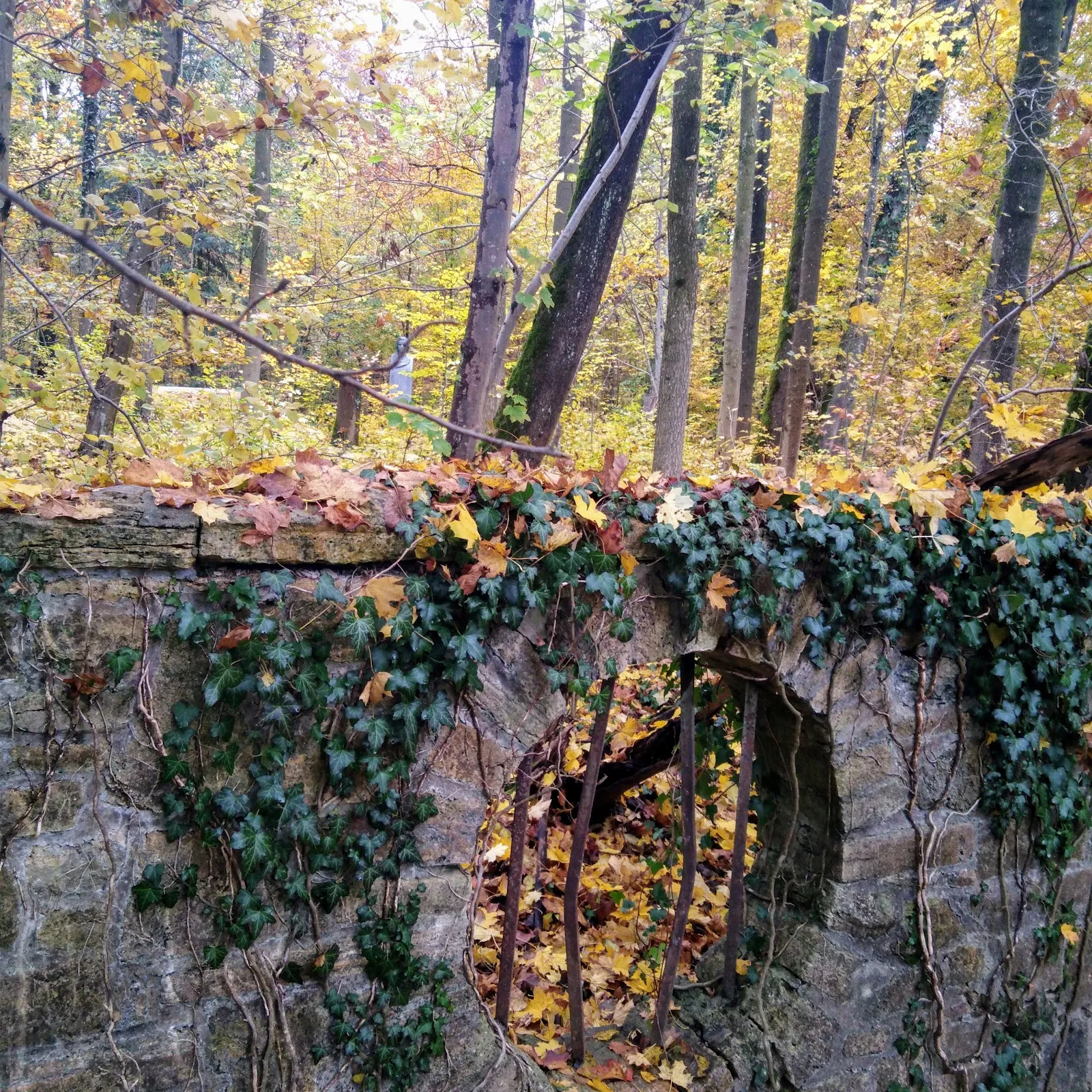 Замок Катариненхоф в Бакнанге, Германия