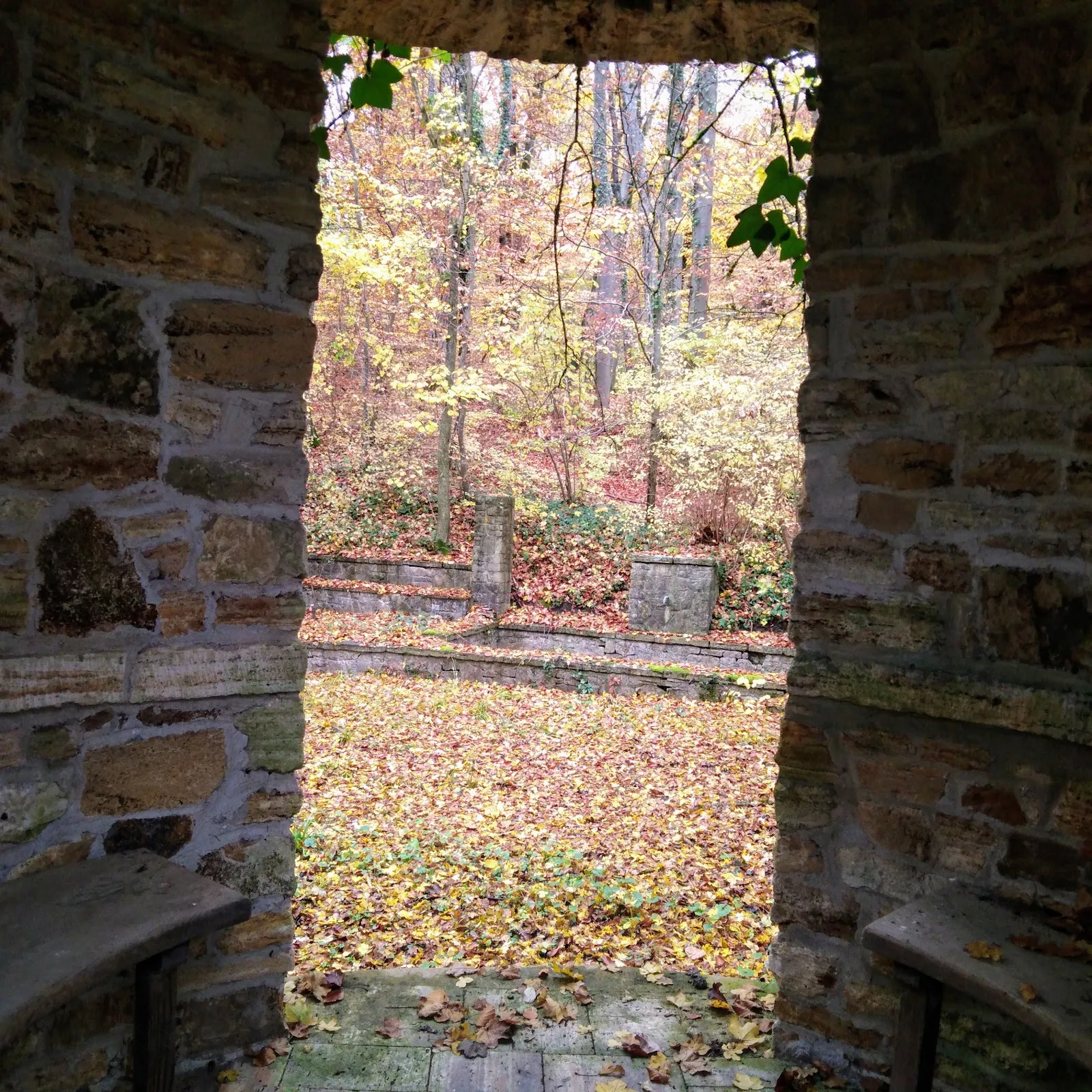 Замок Катариненхоф в Бакнанге, Германия