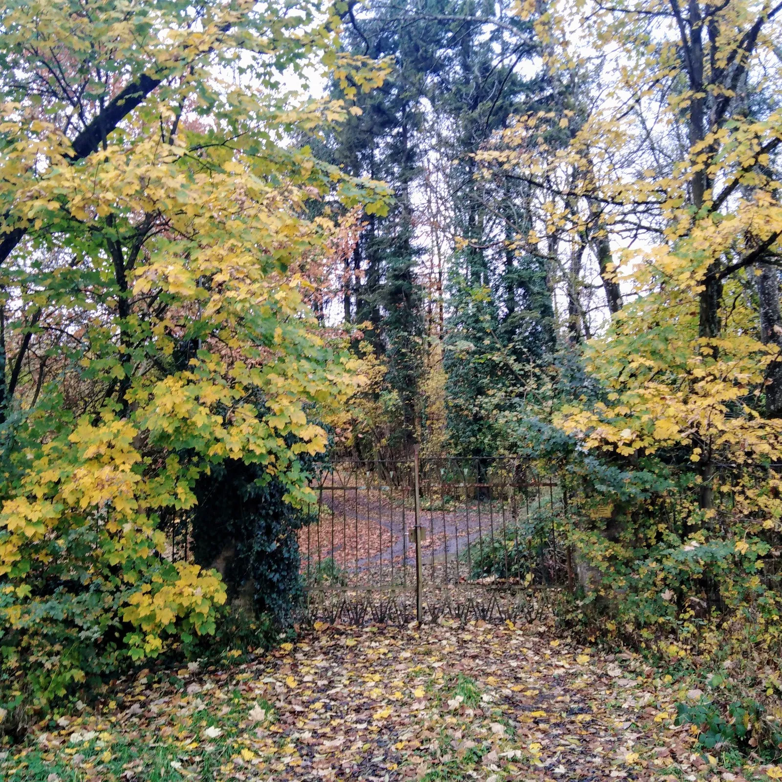 Замок Катариненхоф в Бакнанге, Германия