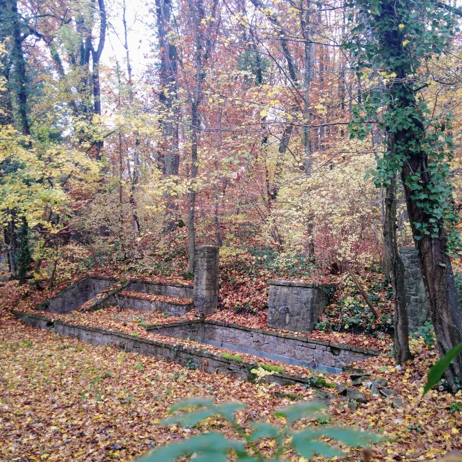 Замок Катариненхоф в Бакнанге, Германия